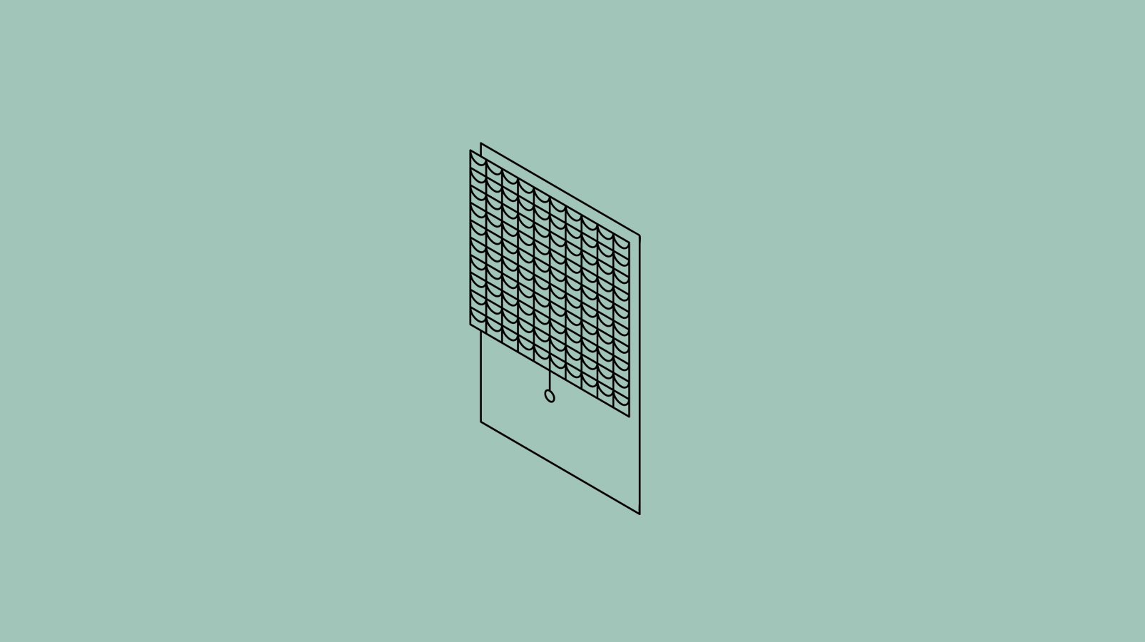 Image Area